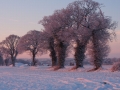 Highly Commended - Bernie Webb - Snowy Dawn