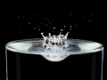 Public Choice 3rd Prize - Jonathan Orland - Drip