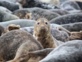 1st Prize - You Looking At Me - Norman Wyatt
