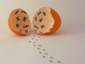 Public Choice 5th Prize - Hatched - Jonathan Orland
