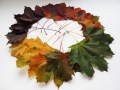 Highly Commended - Autumn Colours, Beryl Rout