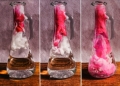 Students 1st Place - Bubblegum Bliss - Meaghan Fisk