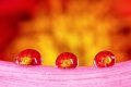 5th - Jonathan Orland - Dahlia droplets