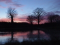 Students Highly Commended - Reflected Trees - Eleanor Wilkins
