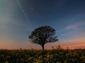 Highly Commended - International Space Station - Jonathan Orland